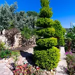 Villa Mira Kalkan -Close To City Center-