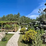 Angels Garden