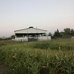 Horse House
