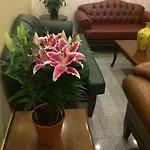 Uenver Hotel