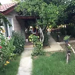 Serenity Bungalow Camyuva
