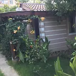 Serenity Bungalow Camyuva