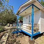 Sunsea Karaoez - Suelo Palas