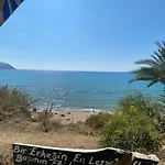 Sunsea Karaoez - Suelo Palas