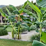 Butiq Garden House