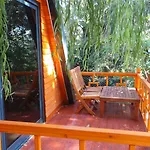 Trinitys Forest Bungalows