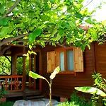 Baraka House