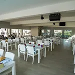 Catty Cats Garden Hotel