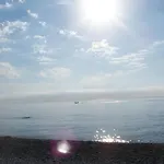 Naz Apartlari Cirali
