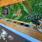 Amsterdam Boutique Hotel