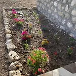 Adrasantasev Ali Baba
