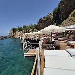 Lucky Monkey Hotel