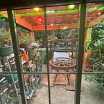 Orange Garden