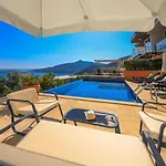Palmy Suite
