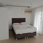 Aydin Villa 1