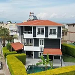 Villayl