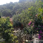 Finike Bungalow Orion