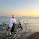 Rodeo Horse Club