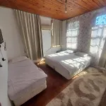 Antique House