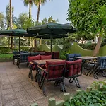 Palm City Hotel Alanya