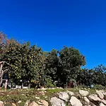 Olympos Orange Village Nature, Sea And You
