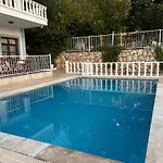 Seahorse Kalkan