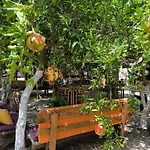 Litost Cafe