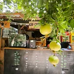 Litost Cafe