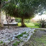 Escape To History In A Stunning Stone House With Garden And Sea View In The Heart Of Alanya