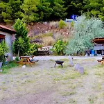 The Vista Village