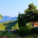 The Vista Village