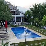 Sea Life Homes