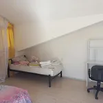 Comfort Apartments - Whole Appartment Or Double Rooms