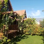 Riviera Bungalow Evleri Demre 2