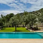 Olive Branch Resort