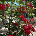 Villa Efsane Hotel
