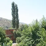 Mercan Apart