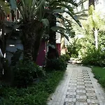 Yetkin Club