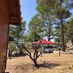 Adam'S Bungalows&Camping