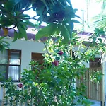 Kiyi Pansiyon