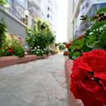 Best Home 12