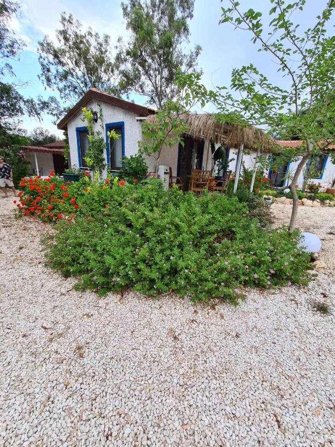 Eva's Tiny Homes *