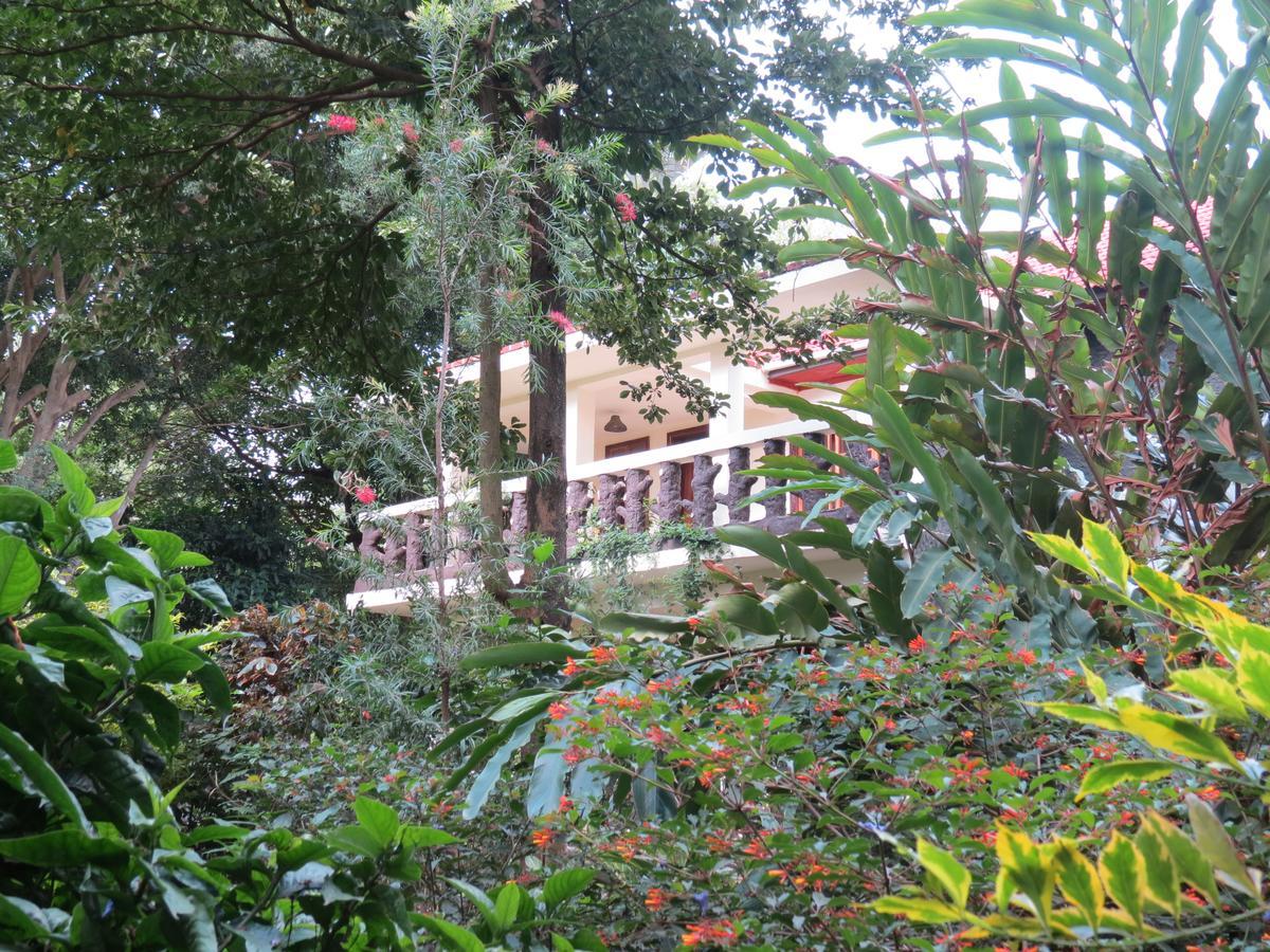 Le Jacaranda Hotel