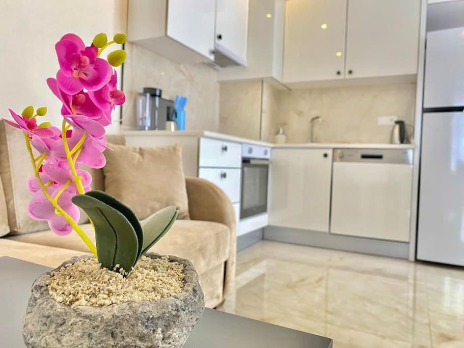Rose 6 Comfort Living At Cleopatra 아파트