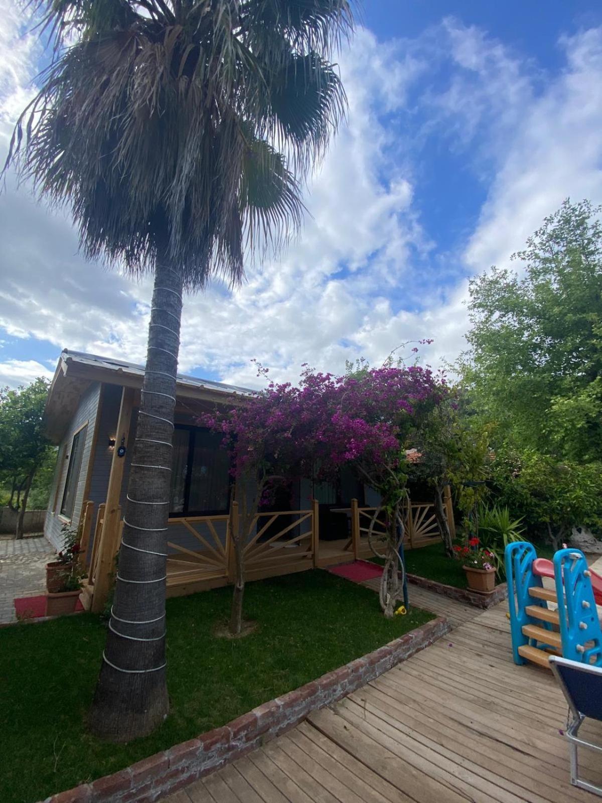 Villa Black Cat Villa's Kemer