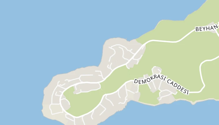 Χάρτης