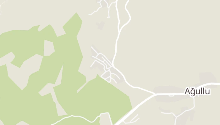 Карта