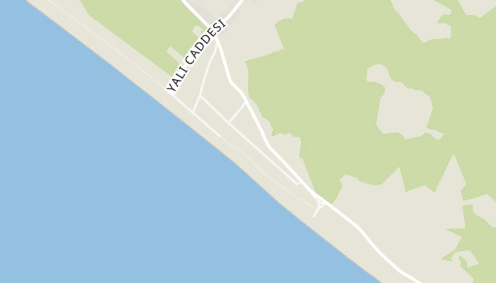Χάρτης