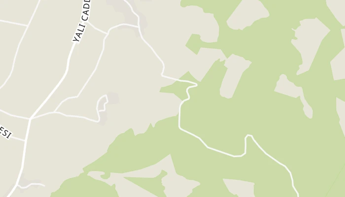 Χάρτης
