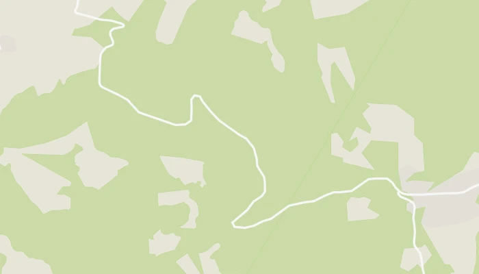 Χάρτης